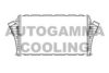 AUTOGAMMA 105559 Intercooler, charger